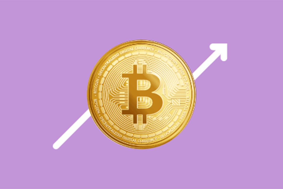 Sale_311810_article_image sale_311810_article_image