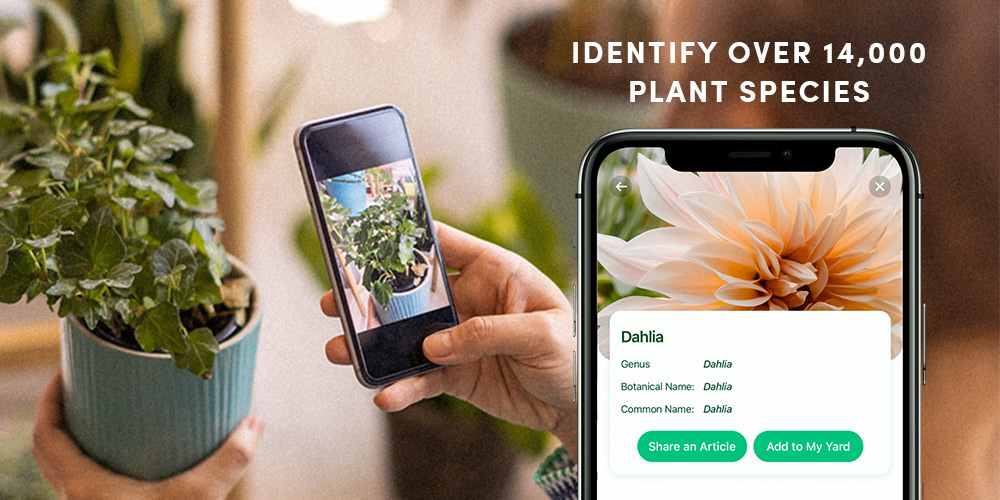 With NatureID on your iPhone, you can instantly see what type of plan it is.