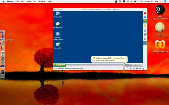 post-2171-image-52c5bee8327b3b6298d8ca1338bdcbe2-jpg