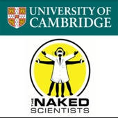 post-3856-image-d9de25623e04e70005d3a3caddcebad1-jpg