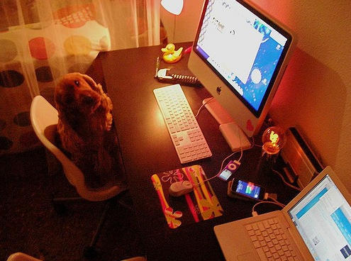 post-5231-image-4c84eb96e2bf6ae6af769eb3d9c0066a-jpg