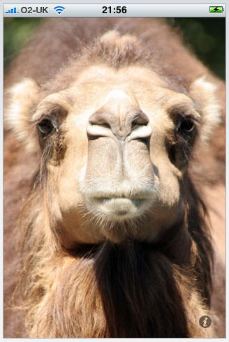 post-6521-image-42f949c292ee2c78845ecefac97a98b1-jpg