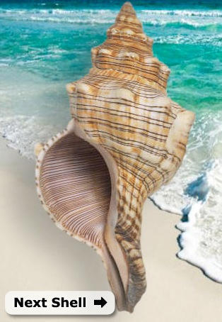 post-7264-image-f075f6b2036de0f5f04758b70833bc53-jpg