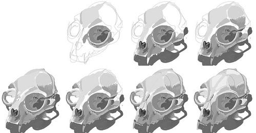 3221422456_88fa1aa0c1.jpg?v=0