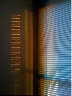 post-8914-image-64127a35844d903a3a8d21cc6999d595-jpg