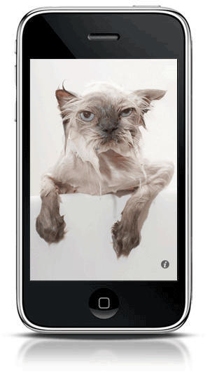 post-9019-image-25c512a6bfd3b830889556cae085a731-jpg