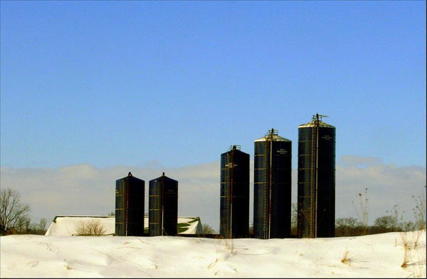 post-11180-image-35afd06cff331b2f975a5e0d2ff903c4-jpg