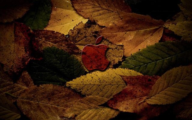 3972168562_8ac0604cfc_b