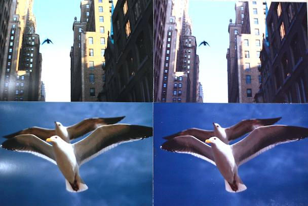 A comparison of print quality. Those on the left are from an instant Kodak machine at Walmart; on the right, from the A646. Notice the higher color saturation and bias toward blue from the A646 compared with Kodak's traditionally golden-hued prints.