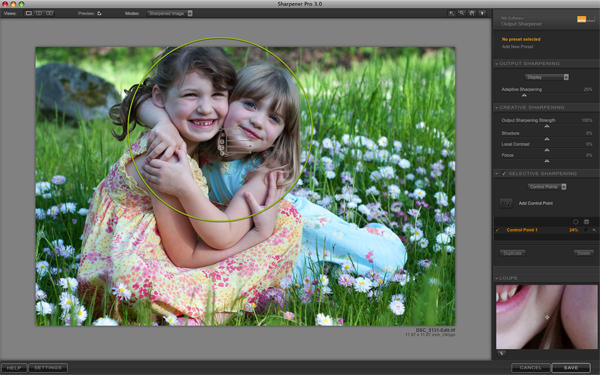 NSP3 Control Point NSP3 Control Point