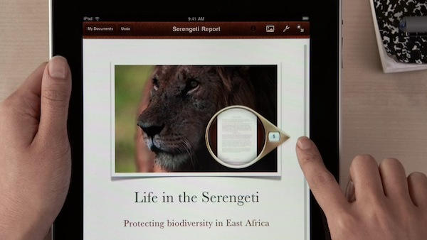 20100330 pagespagenav 20100330-pagespagenav.jpg