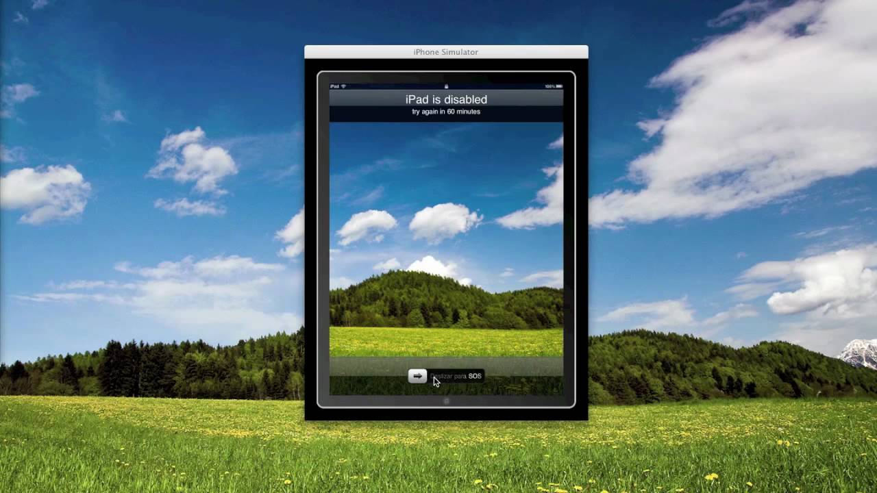 post-32249-image-e272446b10c5d93a25fd0b691174d76d-jpg