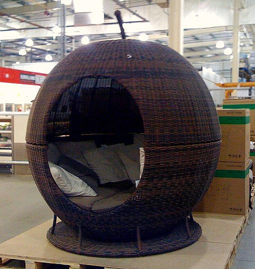An Apple for your patio? @Mark Johnson.