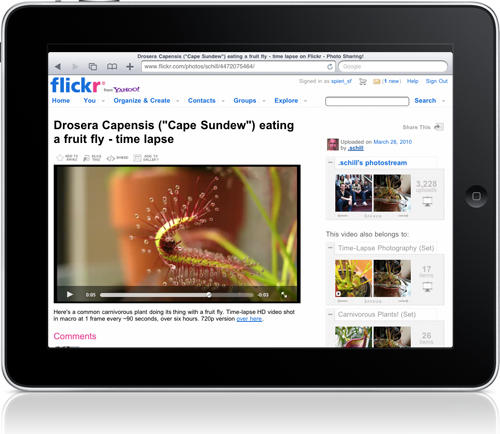 post-42058-image-5722d308f078fb4187ec4a538f397779-jpg