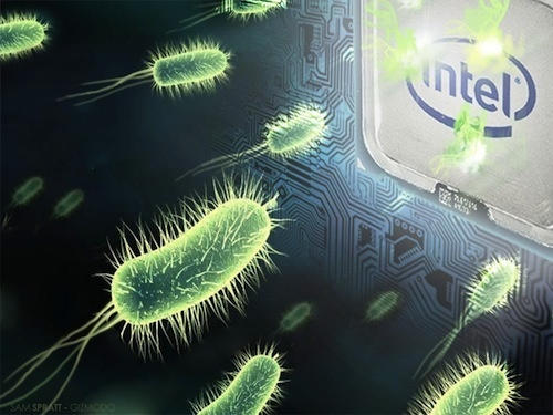 post-55841-image-8923bc84172423ff2c7b42da75bca541-jpg