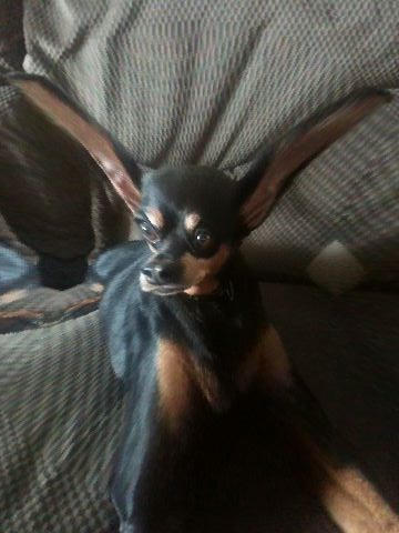 Mobile Photo Sep 6, 2010 11 54 09 AM