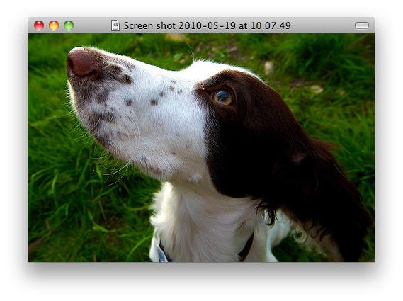 Previewafter previewafter.jpg