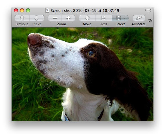 Previewbefore previewbefore.jpg