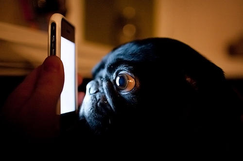 CC-licensed, thanks John Heil on Flickr.