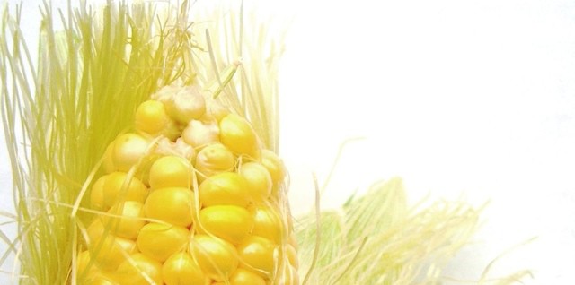 Photo by Darwin Bell - http://flic.kr/p/sq164