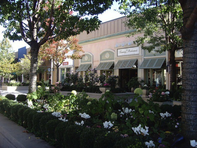 The bushes outside the Apple Store Stanford in the Stanford Shopping Center, Palo Alto, Calif. Steve Jobs hides in the bushes outside the store to spy on customers.