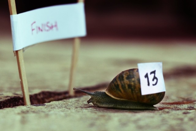 Photo by ....Tim - http://flic.kr/p/5fwfmh