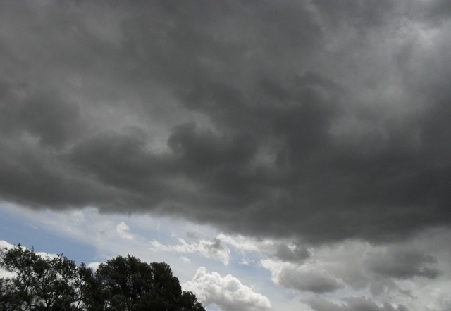 Photo by swan corner - http://flic.kr/p/8t44tx