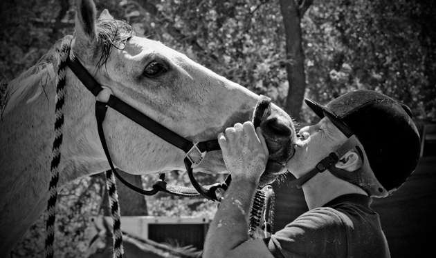 Skip Haughay and his horse, Regal Bull