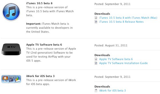itunes_10_5_beta_8
