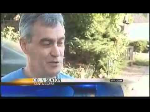 post-113011-image-76ff9bae45c757ad9d81894bd71c5b76-jpg