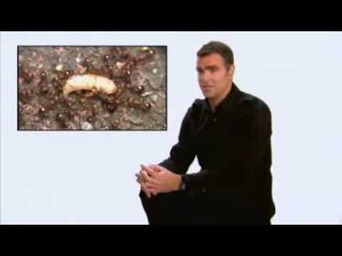 post-113013-image-71de17cb9cabc86f755f32fc3d730420-jpg