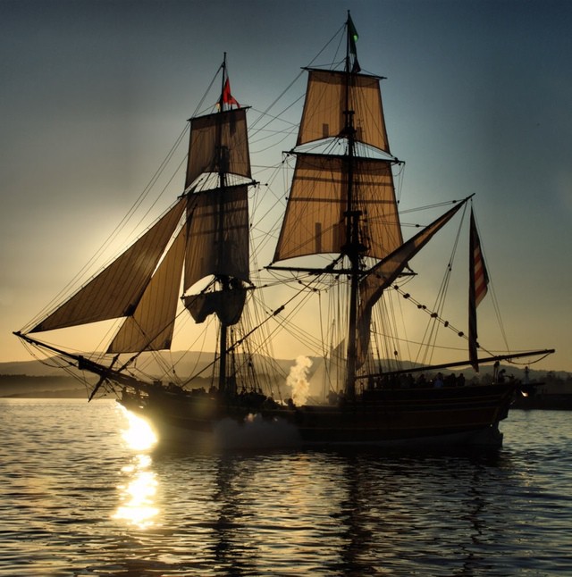 Photo by steeljam - http://flic.kr/p/58PyVg