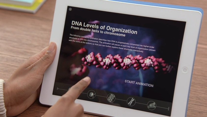 Screen Shot 2012-01-19 at 11.47.35 AM