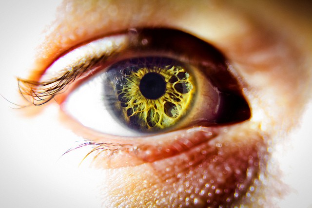 A retina, surrounded by an eye. Photo Bodey Marcoccia (CC BY-SA 2.0)