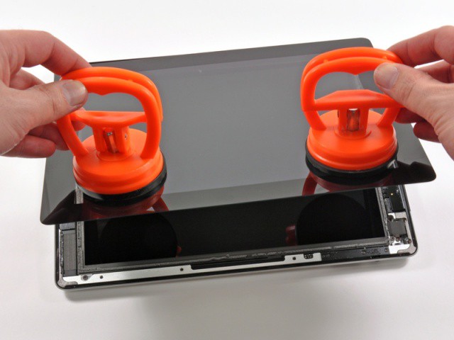 Aren't those suction cups cute?