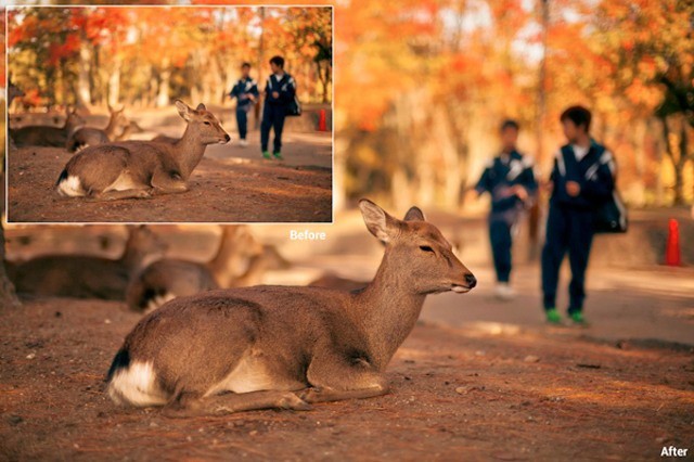 Facebook will now serve Retina-ready images, but not to the iPad