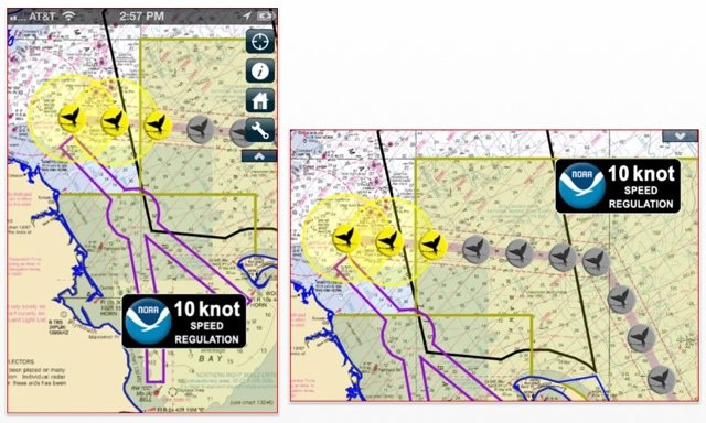 Whale Alert is a free app that could help save the whale from extinction.