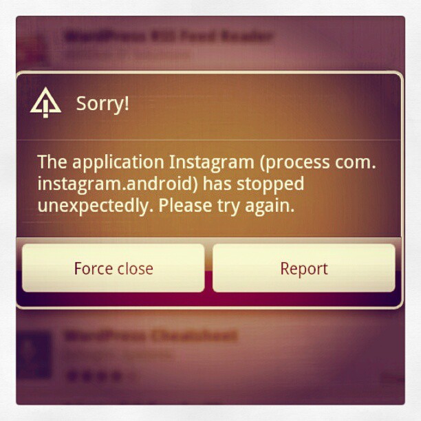 post-158520-image-7fc8661d590ae7277e74500024c8acc6-jpg