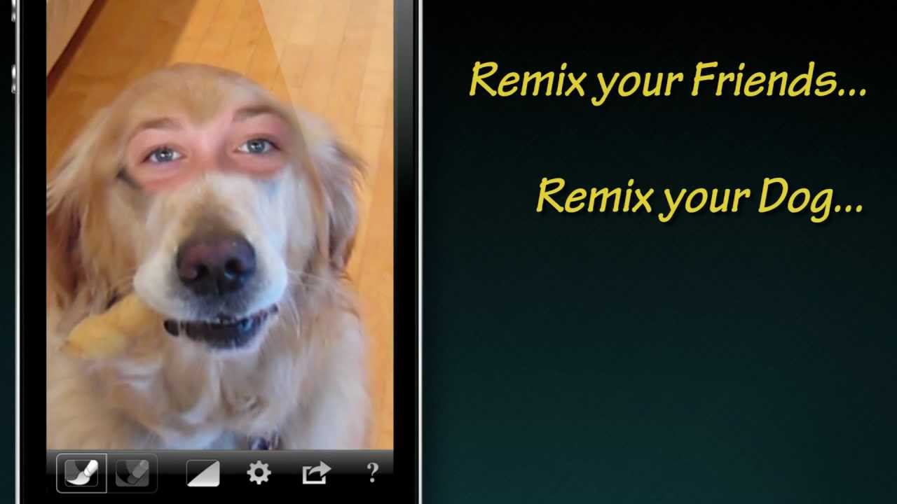 post-168374-image-57ae61a5febec824db525ab47198997f-jpg