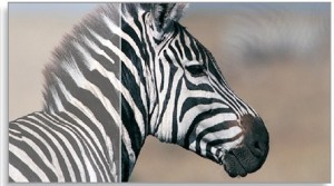 Dyanamic_Contrast_ratio