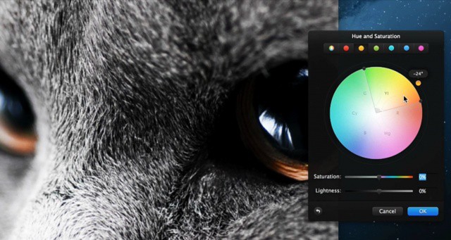 Look at that cat's face.