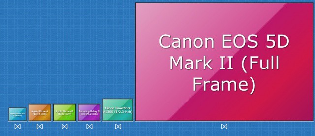 That's what she said.