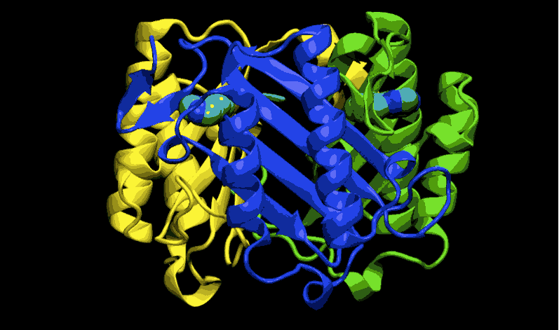 dataseamgrid-proteins