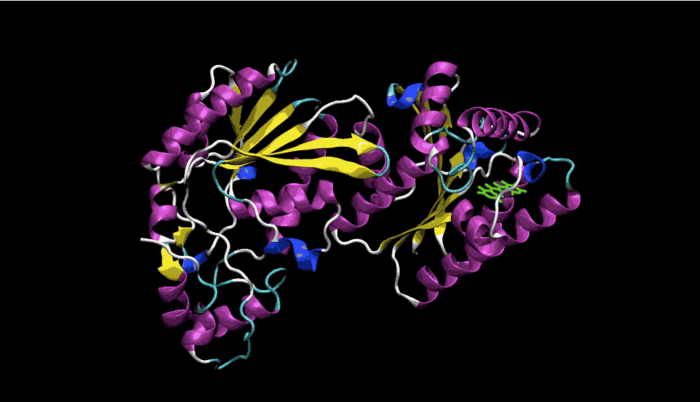 dataseamgrid-proteins2