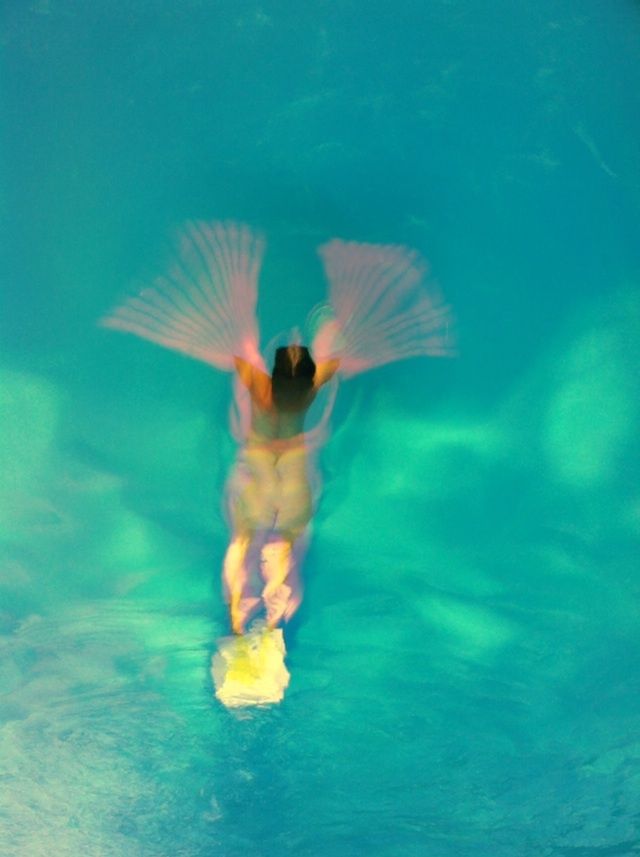 Cindy-Patrick-water-was-my-strange-flower (1)