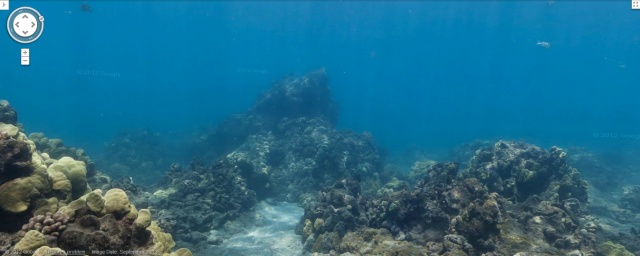 post-193099-image-c70f4c13392e777fe64f3f52cce8088e-jpg