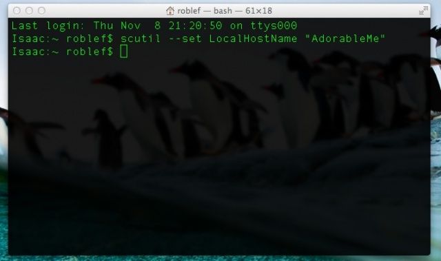 Set networking names