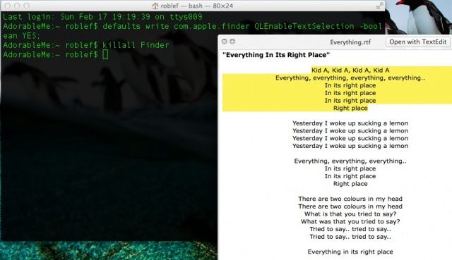 Quicklook Text Select