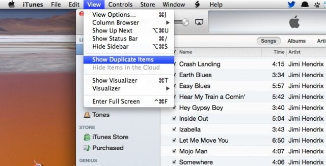 iTunes Duplicate Items