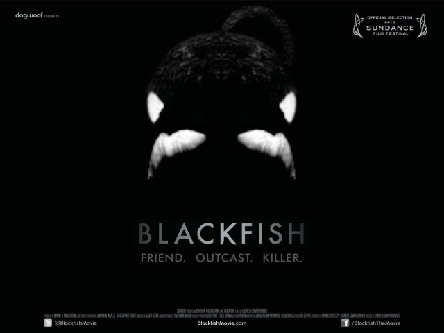 blackfish